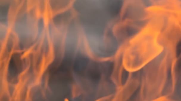 Flame, burning close-up. — Stock Video