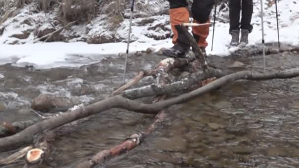 Transizione Del Torrente Sui Tronchi Come Ponte Viaggiatore Camminatore Supera — Video Stock