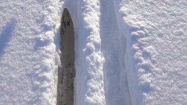 Geniş sözde orman kayaklar parça git