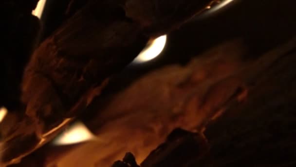 Burning wood, flames, coals — Stock Video