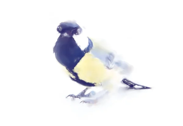 Drawings watercolor style. Titmouse — Stock Photo, Image