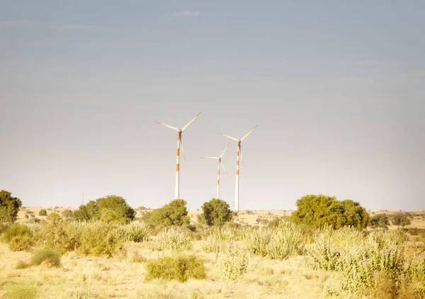 Wind turbines in the desert in Rajasthan — Stock Photo, Image