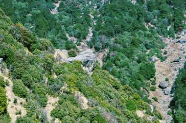 Bahar zamanının dağ manzaraları