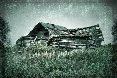 Ormanın kıyısındaki eski köy