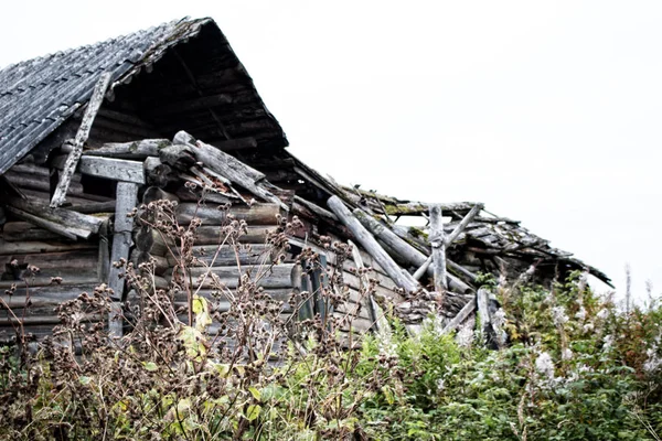 Russisch oud dorp aan de rand van het bos — Stockfoto