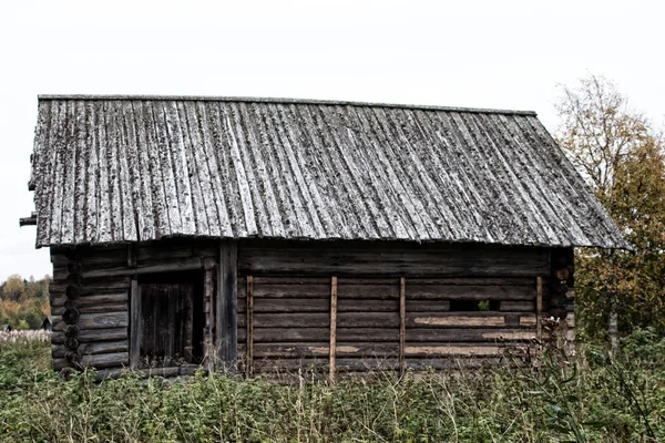 Russisch oud dorp aan de rand van het bos — Stockfoto