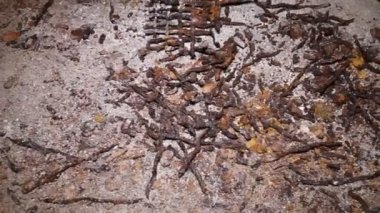 Zindanda metal çivi, zımba ve ızgara paslı kalıntıları