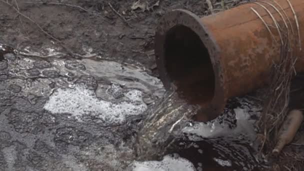 Chemically dirty water gushing from large rusty pipe — Stock Video