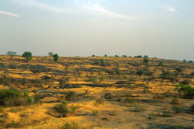 Kayalık araziler arasında yoksul Hint tarlaları