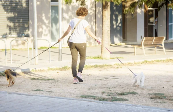 España mujer en un paseo con dos perritos diferentes — Foto de Stock