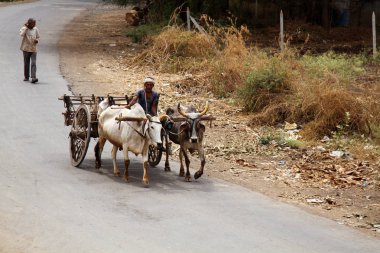 Eski araba Hint karayolu üzerinde zebu boğa çifti tarafından çekti