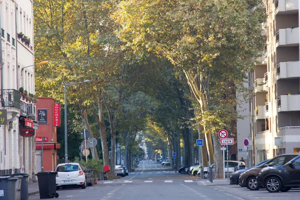 Rustige straat in de schaduw van oude platanen — Stockfoto