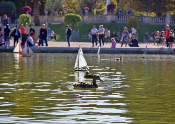 Parisliler tekneleri gölete, ölçekli modellemeye izin ver. Birçok Parisli tatilci