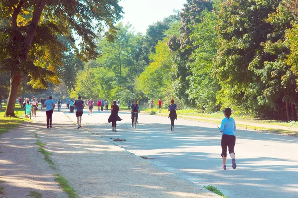公园是老年人和年轻人慢跑的地方 — 图库照片