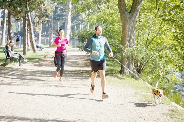 Correr parisino en el parque con perro con correa — Foto de Stock