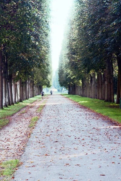 Hermoso callejón en el Parque de Versalles — Foto de Stock