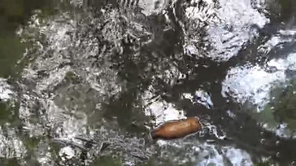 This bottle has been in the sea for a long time — Stock Video