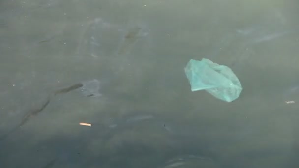 Plastpåse i havet under ytan av havsvatten. — Stockvideo