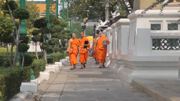 Grupo de monges budistas se move no quadro no espectador — Vídeo de Stock