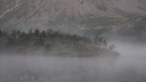 Beleza calma perfeita da natureza - arquétipo de atratividade . — Vídeo de Stock