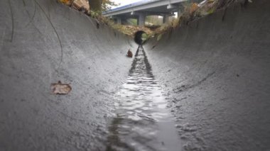 Yol kenarında beton kanalizasyon.
