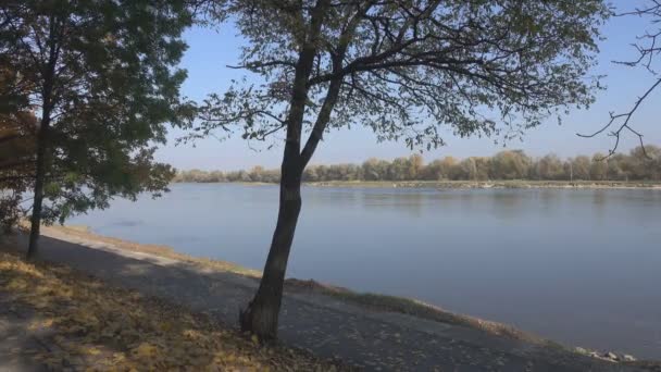 Fluss und Spazierweg des Parks sind mit Laub bedeckt. — Stockvideo