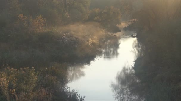 Відокремлена річка в літній ранок — стокове відео