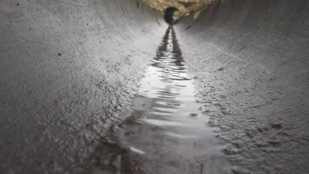 Zanja de hormigón de drenaje cerca de la carretera — Vídeo de stock