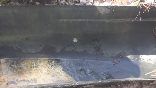 Yol kavşağının yakınındaki beton kanalizasyon. — Stok video