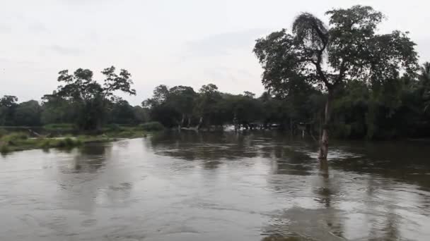 Наводнение реки после муссонов — стоковое видео