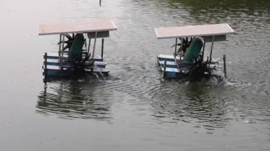 Suda çözünen oksijeni arttırmak için su havzasında kürek tekerleği havacısı aktif..