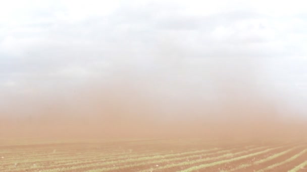 Poiana nera (diavolo della polvere, vortice di polvere) su terreni agricoli. — Video Stock