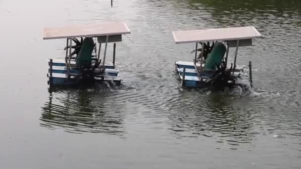 Schaufelradbelüfter aktiv im Aquakulturteich zur Erhöhung der Sauerstoffauflösung im Wasser. — Stockvideo