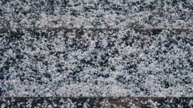 tapyoka karı (graupel tozu karı)