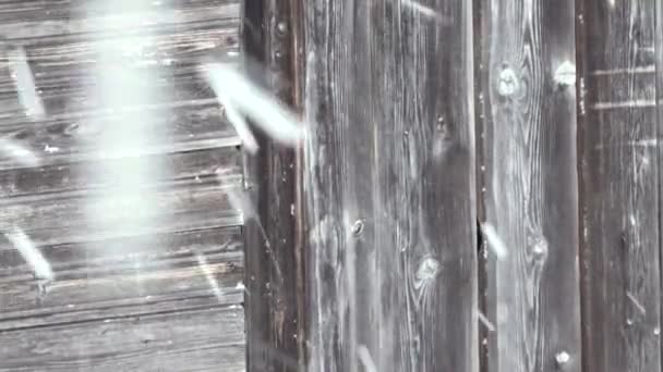 Casaco de primavera (ou outono), queda de neve — Vídeo de Stock