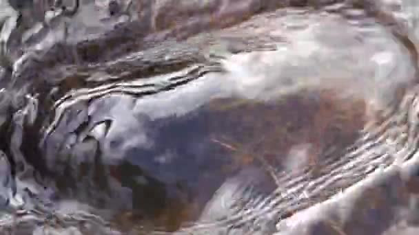 Φυσική πηγή καθαρού κρύου νερού — Αρχείο Βίντεο