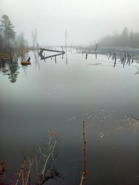 Sis, buz ve suyla göl manzarası