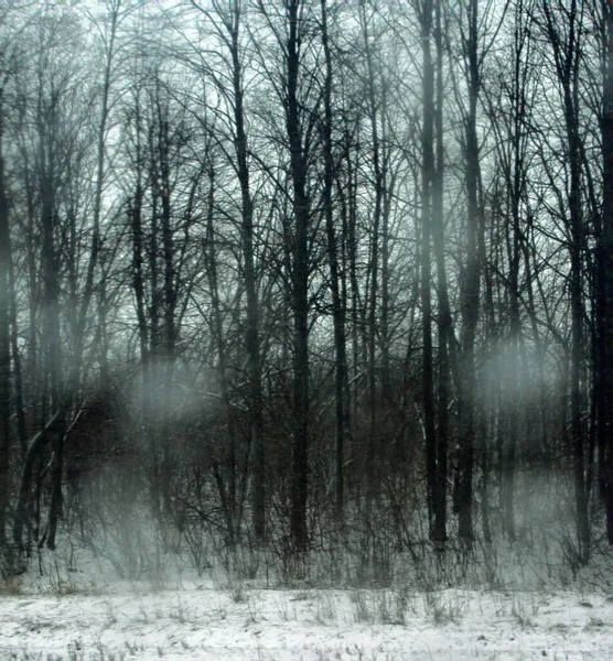 雨雪落在汽车玻璃上 汽车挡风玻璃上 被雪覆盖的森林 恶劣天气下的冬季旅行 — 图库照片