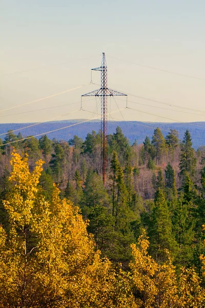 Colorful Autumn Forest High Voltage Power Line — Stock Photo, Image