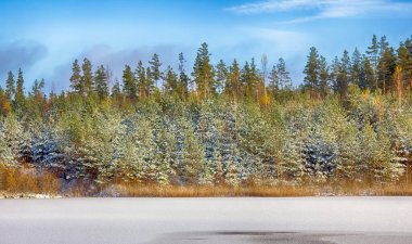 Kar, köknar ağaçları ve gölü olan parlak kış ormanı. Güzel orman soğuk hava gelir.