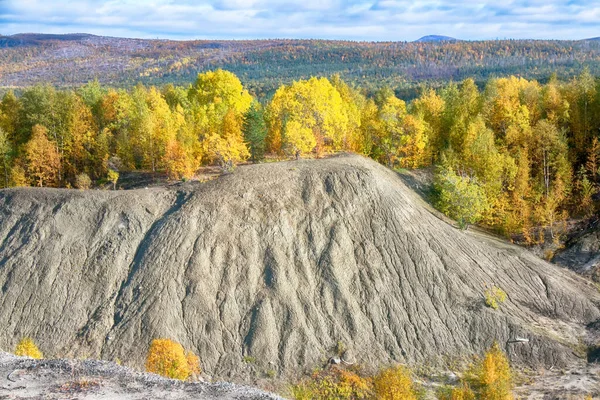 Otoño Suave Medio Otoño Bosques Boreales Coníferas Con Mezcla Abedul —  Fotos de Stock