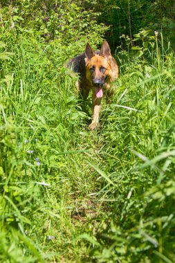 Hindistan, Chengam - 28 Ocak 2016: Hindistan 'ın günlük yaşamı. Taşra otobüs durağı platformunda (yolcular ve perakende satış yerleri)