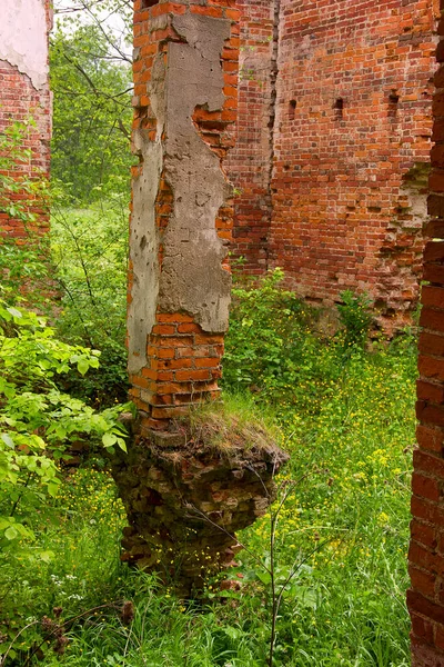 Poczucie Nostalgii Malownicze Ruiny Wiecznych Dóbr Arystokratycznych Rosji Struktura Jest — Zdjęcie stockowe