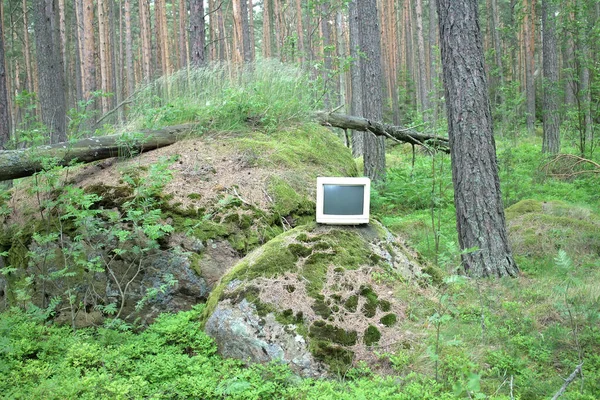 Old monitor storm threw into pine woods.  Noise of wind and waves. Gadget concept