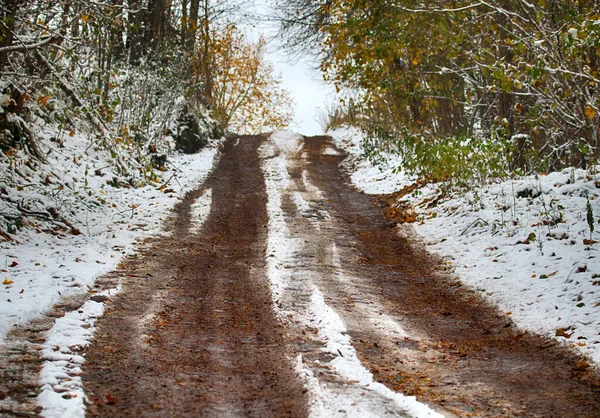 Estradas Florestais Trilhas Início Inverno Transição Outono Inverno Neve Folhas — Fotografia de Stock