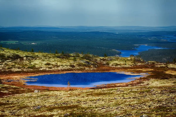 Vanaf Top Van Het Plateau Met Uitzicht Vallei Tussen Dennenbossen — Stockfoto