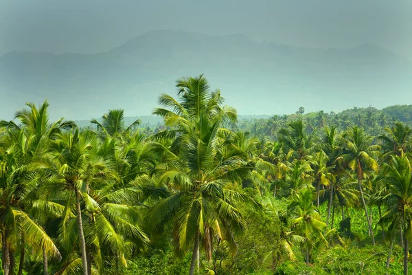 Landschap Van Tropische Wereld Dorpen Tussen Groene Bomen Bergen Gescheiden — Stockfoto