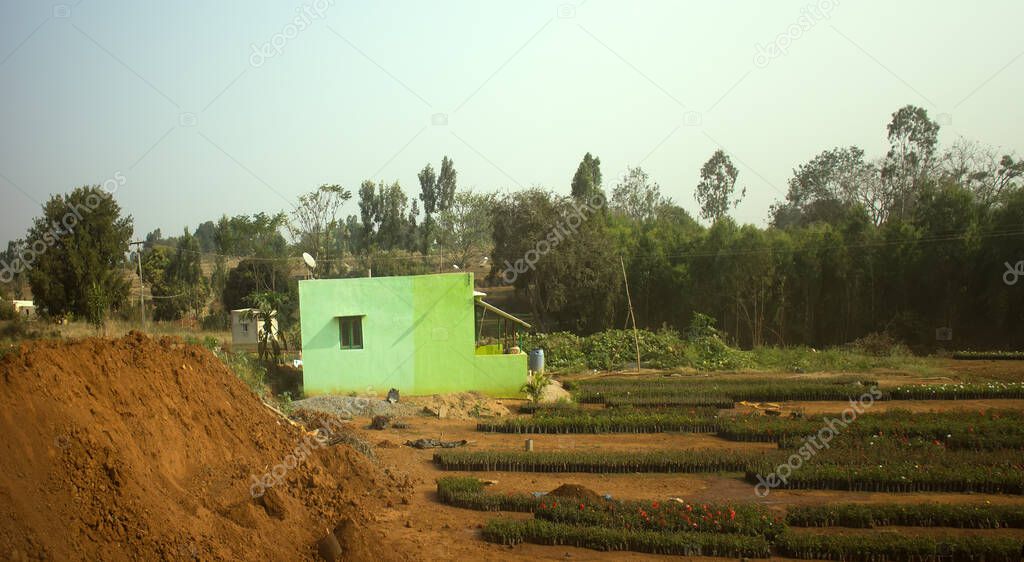 house of poor Indian and vegetable garden in early spring. In foreground - pile of dirt for raised beds. India, Tamil Nadu