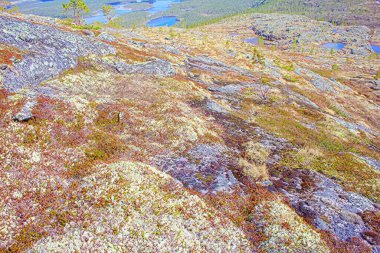 Deniz kıyısına yakın dağ tundrası harika kutup manzarası