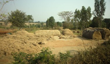 Fakir Hint hanesi (çiftlik) 2. ev ve saman kurutma. Andhra Pradesh, Anantapur